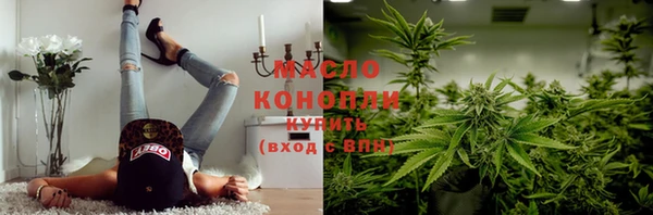 мдпв Каменка
