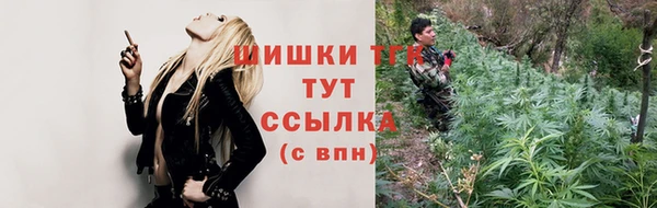мдпв Каменка