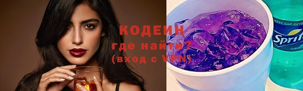 мдпв Каменка