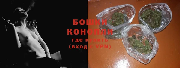 мдпв Каменка