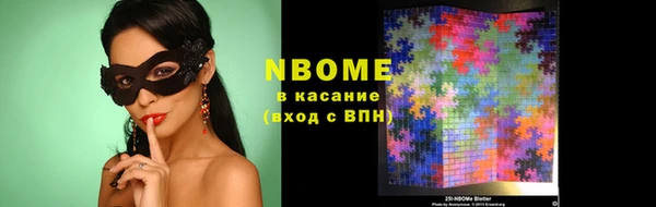 мдпв Каменка
