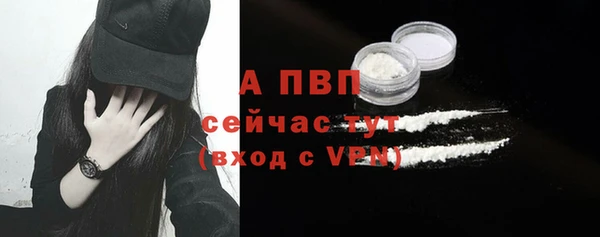 ГАЛЛЮЦИНОГЕННЫЕ ГРИБЫ Каменногорск