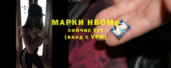 мдпв Каменка