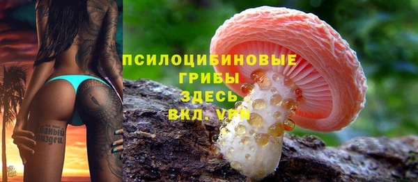 мдпв Каменка