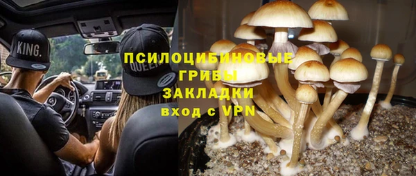 мдпв Каменка
