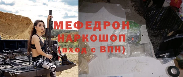 мдпв Каменка