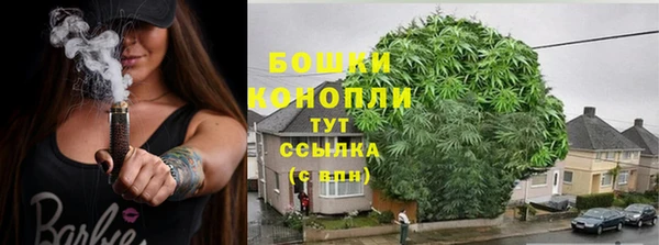 ешки Карпинск
