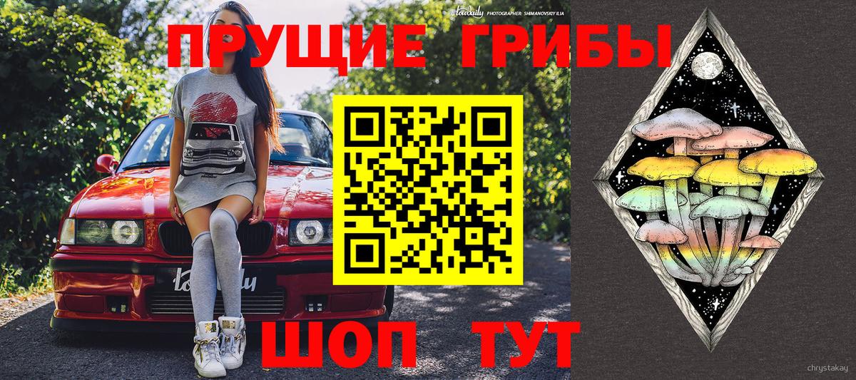 Нефтеюганск  Галлюциногенные грибы Psilocybe  Вход с VPN 